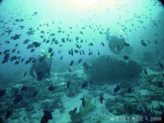  Discovery Unique Underwater 